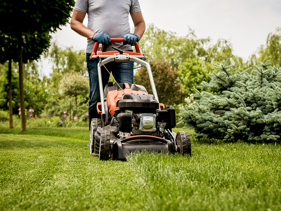 Giardinaggio Srl  <i class="rhicon rhi-arrow-circle-right floatright"></i>